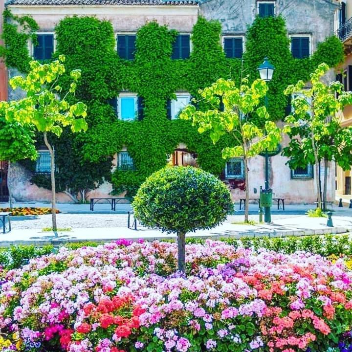 Celestia Corfu Apartman Corfu  Kültér fotó
